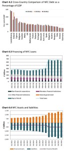 NFC Debt Comparison Loans AssetsLiabilities