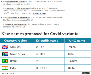 Coronavirus What are the India, Brazil, South Africa and UK variants @BBC