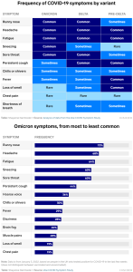 Coronavirus Omicron 2 charts @businessinsider