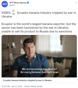 World298 banana Ecuador @AFP